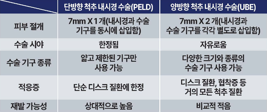 척추내시경 수술의 종류